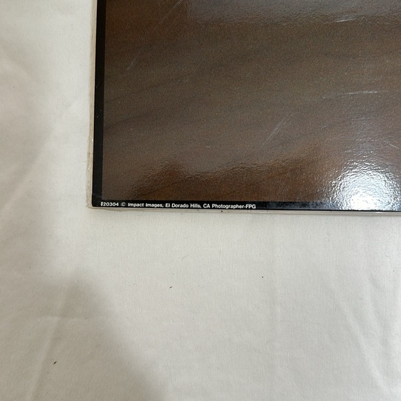 Ballerina print - Picture 5 of 8